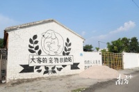 不知不觉就开起来了，这是湛江上千只流浪猫狗的临时家