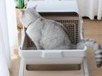 宠物及宠物用品厂家