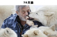 虽然很可怕，但却被一些人喜爱并养育的5种宠物 最适合懒人的10大省心又好养的宠物排行
