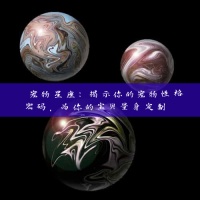 宠物星座：揭示你的宠物性格密码，为你的宝贝量身定制