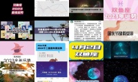 宠物兔价格一览表