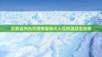云南省内允许携带宠物犬入住的酒店全指南