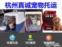 杭州宠物寄养电话