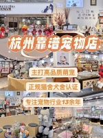 杭州买银渐层哪家宠物店口碑好？杭州这家宠物店良心推荐，信誉高