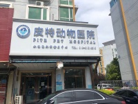 宠物医生及医生助理工作哪里找