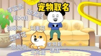 对宠物好的人怎么样形容成语
