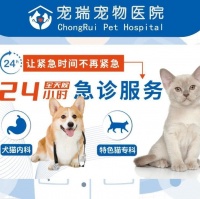 【瑞派宠物医院(乔登七宝店)】瑞派宠物医院(乔登七宝店)电话，瑞派宠物医院(乔登七宝店)地址