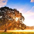 推荐几个不错的狗狗论坛哪些狗狗论坛，或往站比较有权威啊//？？谢 爱问知识人