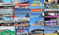 湛江最大的宠物批发市场