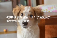狗狗8联疫苗包括什么？了解疫苗的重要性与保护效果