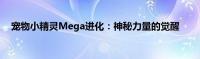 宠物小精灵Mega进化：神秘力量的觉醒
