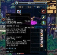 《Dnf地下城与勇士》勇士宠物什么属性