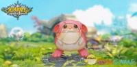 光明勇士宠物捕捉位置