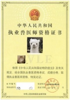 宠物医师资格证要学什么