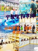 宁波哪里有买狗买猫的市场?这里有你想要的还能亲自挑选宠物哦