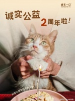 诚实一口公益两周年：用爱守护流浪动物，不忘初心续写新篇章