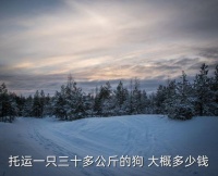 小狗办理托运多少钱啊，托运一只三十多公斤的狗 大概多少钱