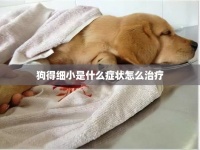狗得细小症状及治疗方法