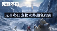 无尽冬日宠物洗练颜色指南