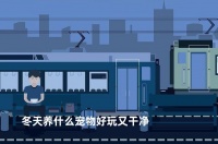 冬天养什么宠物好玩又干净(哪些宠物适合在冬天养?)