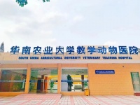 守护“毛孩子”!他们,值得被看见