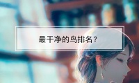 最干净的鸟排名?