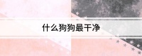 什么狗狗最干净