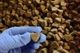 【聊城宠物毛绒玩具价格