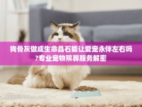 狗骨灰做成生命晶石能让爱宠永伴左右吗?专业宠物殡葬服务解密