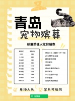 青岛宠物殡仪馆与丧葬:为宠物打造最后的温馨小窝