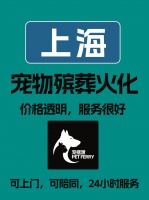上海宠物火化:让爱宠的生命以另一种形态与我们同在,成为我们生活中的一部分