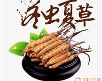 枣庄市24小时宠物火化服务费用