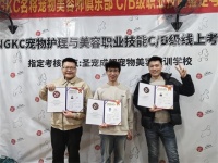 ‌宠物美容师考证有哪几种？