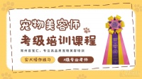常州宠物美容师等级考试培训课程