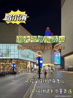 哈尔滨宠物市场在哪里？（哈尔滨）这里宠物基地直销，没有中间商