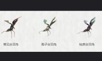 星际战甲古羽鸟怎么捉