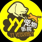 小贵宾右侧肩关节脱臼...