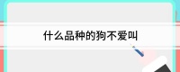 什么品种的狗不爱叫