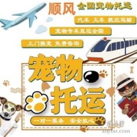 成都 宠物托运小猫小狗运输活体托运