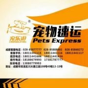 宠乐游宠物托运:航空...