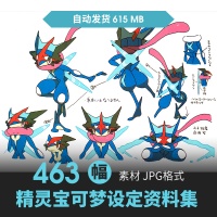 宝可梦三视图