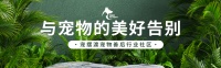 宠摆渡的宠物骨灰钻石化技术