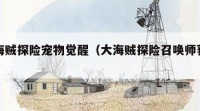 大海贼探险宠物觉醒（大海贼探险召唤师获得）