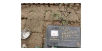 南京连锁宠物火化价格 上海宠淘宠物供应