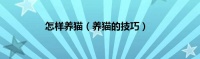 怎样养猫(养猫的技巧)