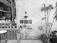 “宠物友好”如何让人宠两安