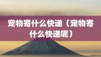 宠物寄什么快递（宠物寄什么快递呢）