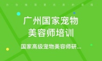 宠物美容师培训圣地，行业口碑NO.1
