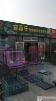 宠物批发店便宜吗（宠物批发零售）