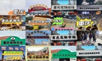 2021年重庆最大的狗批发市场